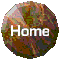 homebutton.gif (2174 bytes)